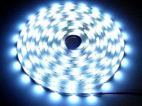 Taśma LED Basic 3528 6500K 5m/600diod