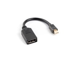 Adapter mini DisplayPort wt./gn.DisplayPort z kabl