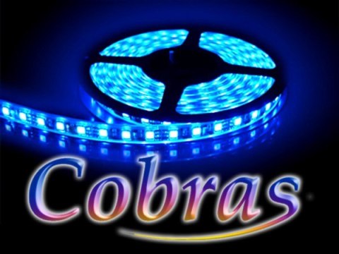 Taśma LED COBRAS 3528 niebieska 5m/300diod