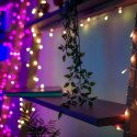 Twinkly Twinkly|Strings Smart LED Lights 400 RGBW (Multicolor + White), 32m, czarny przewód|RGBW - 16M+ kolorów + Ciepła biel