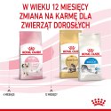 ROYAL CANIN FHN Kitten - sucha karma dla kociąt - 10kg