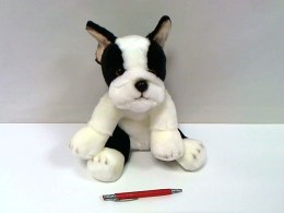 Pies Boston Terrier 30cm SmilyPlay 84404BS 34739