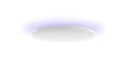 Inteligentna lampa sufitowa Yeelight Arwen Ceiling Light 550C YLXD013-C