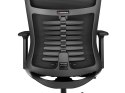 Fotel ergonomiczny Genesis Astat 700 G2 Czarny