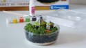 !!! CLE Harry Potter Terrarium 19248