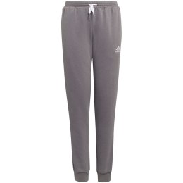 Spodnie dla dzieci adidas Entrada 22 Sweat Pants szare H57519 164cm