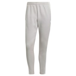 Spodnie męskie adidas Squadra 21 Sweat Pant jasnoszare GT6644