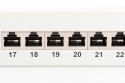 Digitus Panel krosowy (patch panel) 19'' 24x RJ45, LSA poziom, kat.6, ekranowany, 1U, szary, prowadnica kabli