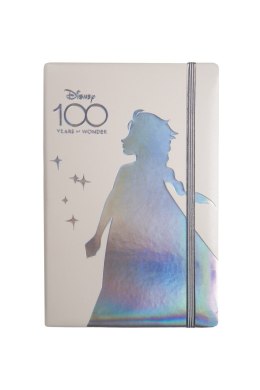 DISNEY 100 - NOTES 80 K. LINIA Z GUMKĄ WZÓR 1/OC/