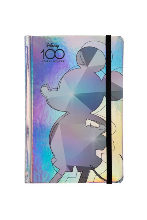 DISNEY 100 - NOTES 80 K. LINIA Z GUMKĄ WZÓR 2/OC/