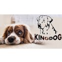 Legowisko dla psa 130 x 105 Zielone KingDog