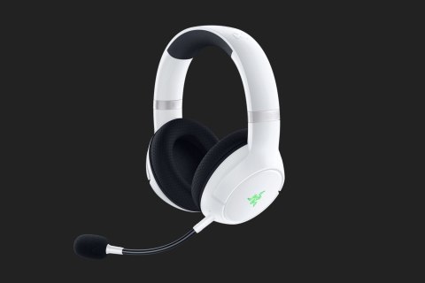 Razer Kaira Pro Headset