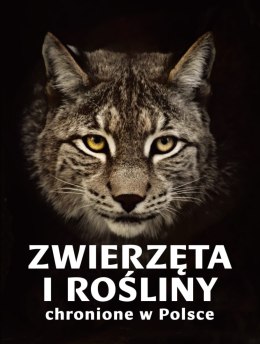 Zwierzęta i rośliny chronione w Polsce