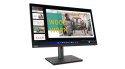 Lenovo ThinkVision P24q-30 IPS 60Hz 300nits AG HDMI DP USB Raven Black 3Y