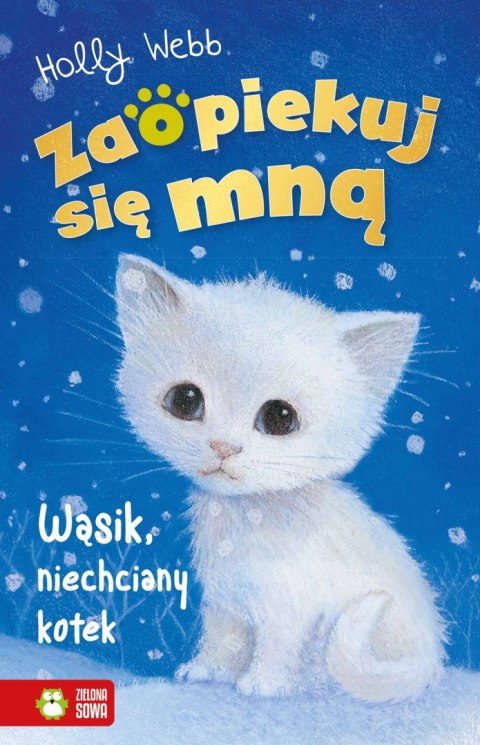 Zaopiekuj się mną. Wąsik, niechciany kotek