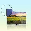 TV SET LCD 55" QLED 4K/55QG5C14 THOMSON