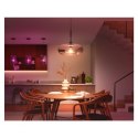 Philips Philips Hue WCA 13,5W A67 E27 Philips Hue | Hue WCA 13,5W A67 E27 | E27 | 13,5 W | RGBW 2000-6500K | Bluetooth i Zigbee