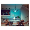 Philips Philips Hue WCA 13,5W A67 E27 Philips Hue | Hue WCA 13,5W A67 E27 | E27 | 13,5 W | RGBW 2000-6500K | Bluetooth i Zigbee