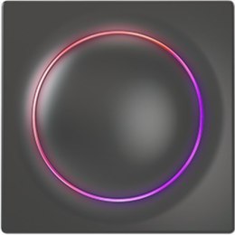 Fibaro FIBARO Walli Controller, czarny, Z-Wave EU Fibaro | FGWCEU-201-8 | Walli Controller | czarny