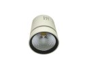 Downlight LED COB LONER 10W+2W biały dzienny+niebi